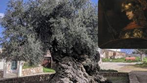 snimok ekrana 2025 04 06 v 11.21.26 Економічні новини - головні новини України та світу