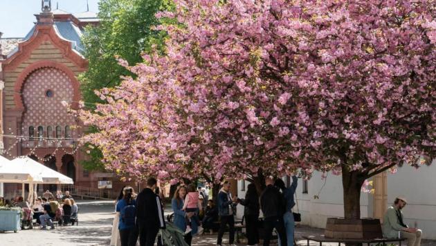 snimok ekrana 2025 04 22 v 14.51.04 Економічні новини - головні новини України та світу