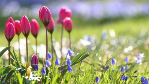 135299 Економічні новини - головні новини України та світу