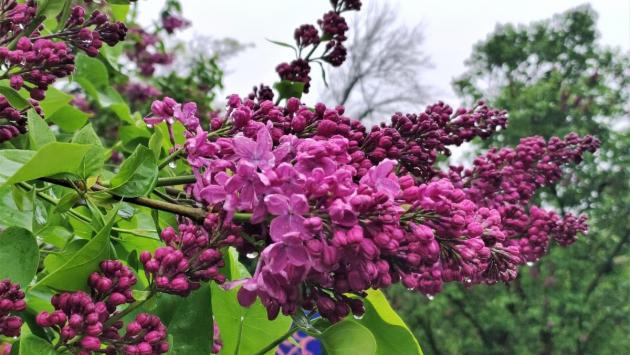 1713785192 2394 Економічні новини - головні новини України та світу