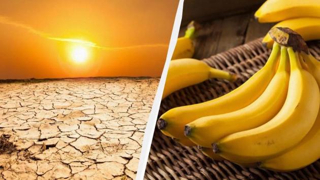 1747039873 3129.jpg Економічні новини - головні новини України та світу