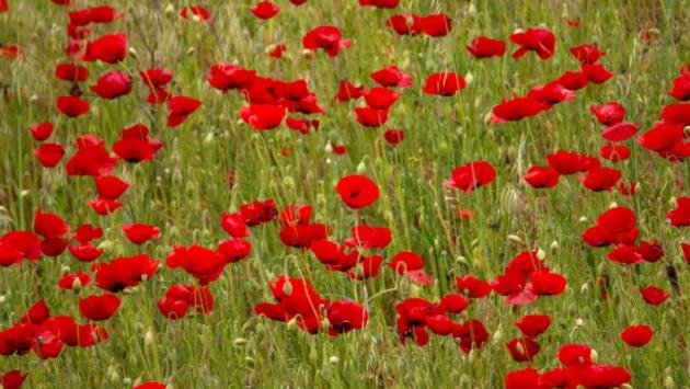 26 Економічні новини - головні новини України та світу