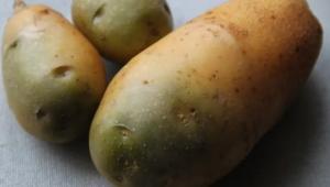 26779 phven0 850 Економічні новини - головні новини України та світу