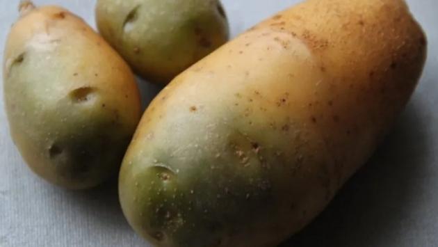 26779 phven0 850 Економічні новини - головні новини України та світу