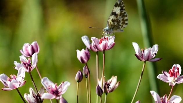 2b58b6f33b3860ac707631a10aac42f5 Економічні новини - головні новини України та світу