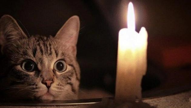 59 main v1747070761 Економічні новини - головні новини України та світу