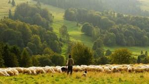 93c13d175b1a417251636004750b3289 Економічні новини - головні новини України та світу