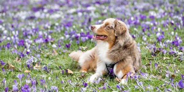 b5cc93ab9fd4792ca624adf3587142c5 Економічні новини - головні новини України та світу