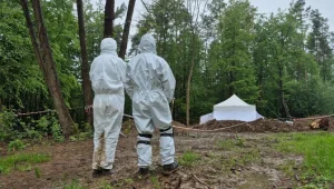 ексгумація