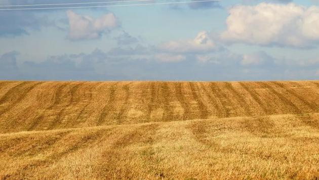 field 70099901280 Економічні новини - головні новини України та світу