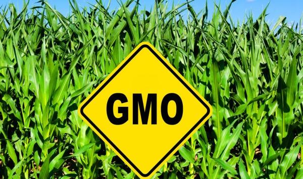 ГМО