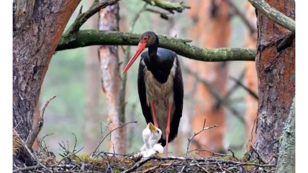 izobrazhenie viber 2025 05 30 12 19 50 901 Економічні новини - головні новини України та світу