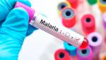 малярія