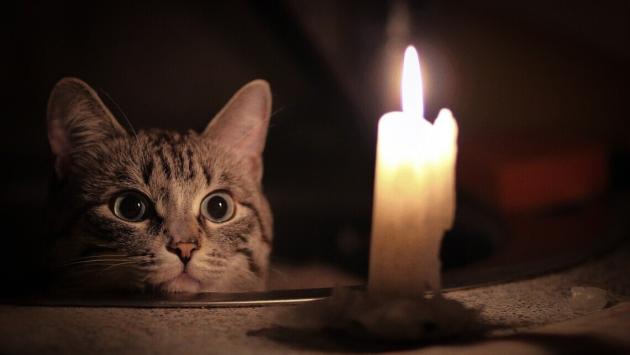 mvdvwr4fmj67xqzblop1z6di49p kzv Економічні новини - головні новини України та світу