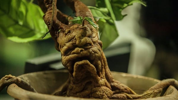 postmobile 2 Економічні новини - головні новини України та світу