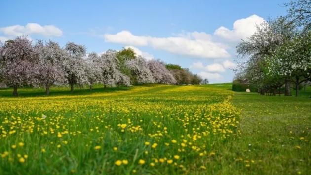 screenshot4 Економічні новини - головні новини України та світу