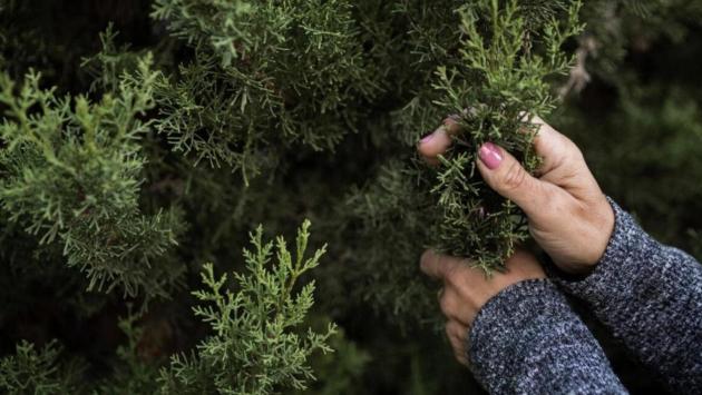 snimok ekrana 2025 05 05 v 16.56.30 Економічні новини - головні новини України та світу