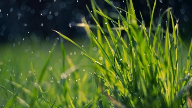 spring 71672121920 Економічні новини - головні новини України та світу