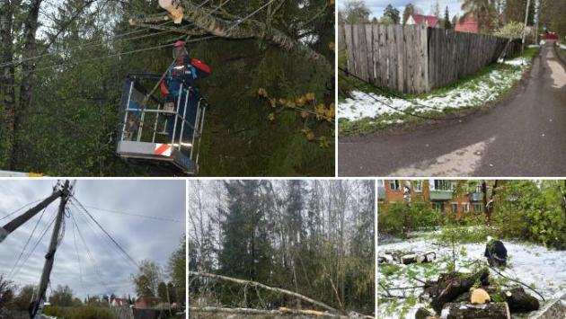 znimok ekrana 2025 05 04 192614 Економічні новини - головні новини України та світу