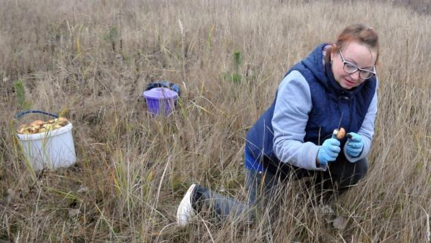 16x9 1 1 Економічні новини - головні новини України та світу