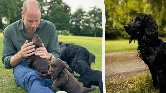 1750960032 5941 Економічні новини - головні новини України та світу