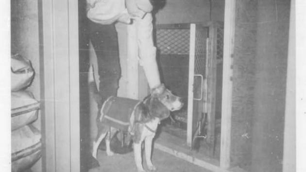 40988094 14810277 documents of t Економічні новини - головні новини України та світу