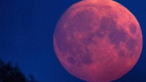 49 main v1749583088 Економічні новини - головні новини України та світу