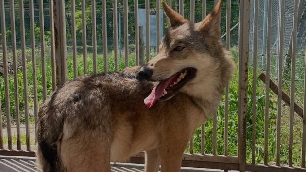 96 main v1749298986 Економічні новини - головні новини України та світу