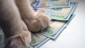 emdraphj1p9ezwcrdfn6fa1nzcfzco2r Економічні новини - головні новини України та світу