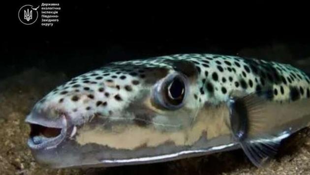 gai01ewih1 rpft9kgkngsyd820pjvsp Економічні новини - головні новини України та світу