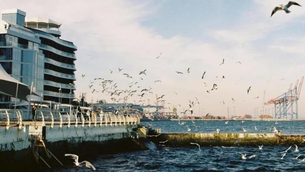 pexels valeriya kobzar 42371713 Економічні новини - головні новини України та світу