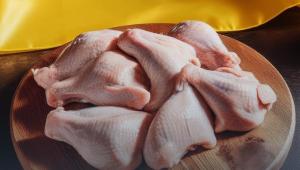 птахівництво