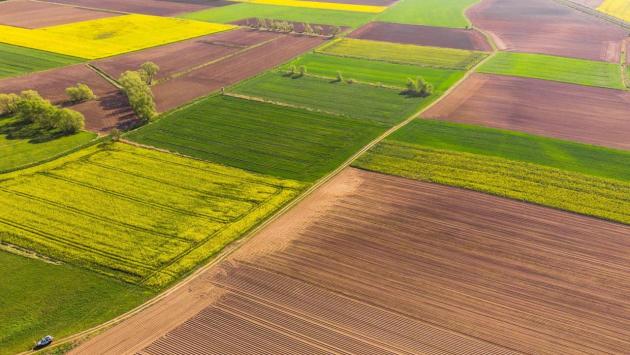 rinok zemli v ukrayini Економічні новини - головні новини України та світу