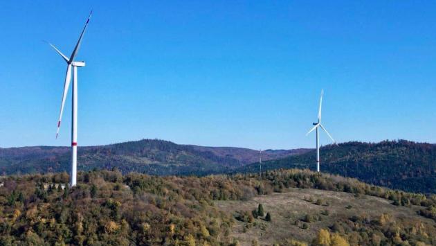 vitrjani parki ukrayini Економічні новини