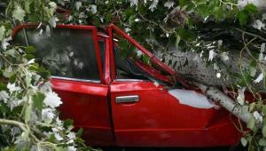 vpalo avto zaglushka gettyimag Економічні новини - головні новини України та світу