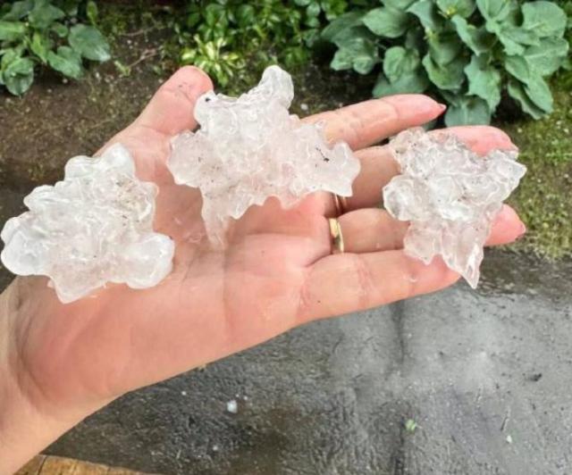 znimok ekrana 2025 06 08 204311 Економічні новини - головні новини України та світу