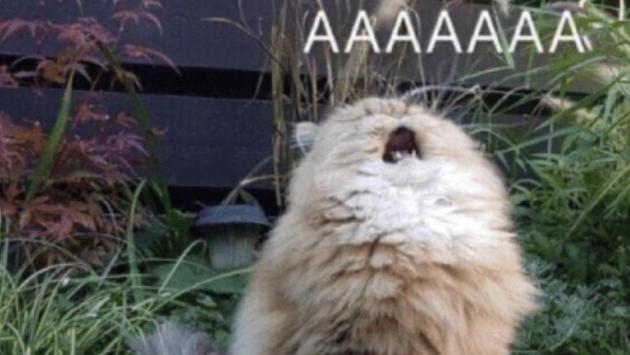 znimok ekrana 2025 06 21 o 18.31.15 Економічні новини - головні новини України та світу