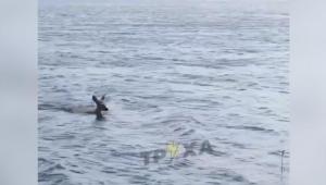 znimok ekrana 2025 06 24 o 08.42.41 Економічні новини - головні новини України та світу