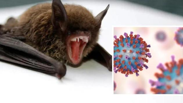 znimok ekrana 2025 06 25 o 22.54.02 Економічні новини - головні новини України та світу