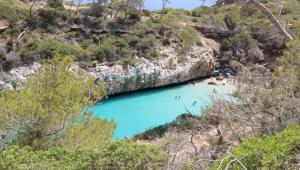 znimok ekrana 2025 06 27 o 00.14.05 Економічні новини - головні новини України та світу