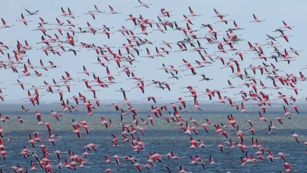 0bda8e80a23d71ca55d79b15a34ac0b9 Економічні новини - головні новини України та світу