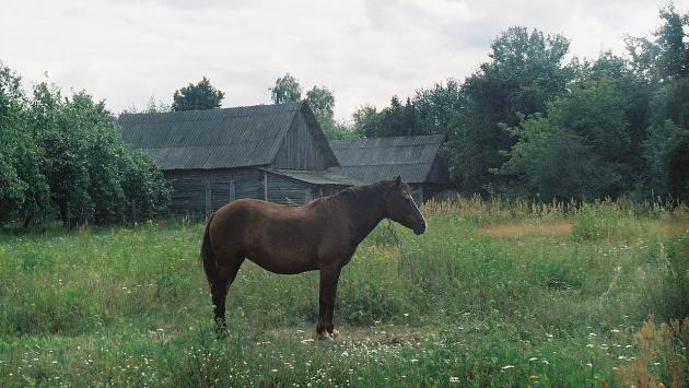 1280px Економічні новини - головні новини України та світу