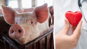 1751824080 5084 Економічні новини - головні новини України та світу