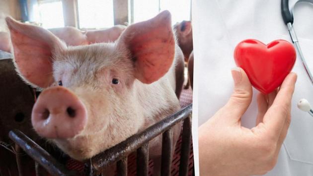 1751824080 5084 Економічні новини - головні новини України та світу