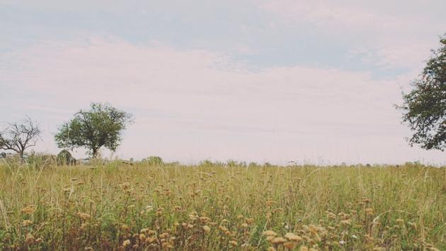 4bcfd98312f827d2f5bde55380b787e3 Економічні новини - головні новини України та світу