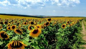 4dd404d771e72c2d275d9ab0a8e08714 Економічні новини - головні новини України та світу