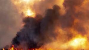 7447273 fb image ukr 2024 03 20 Економічні новини - головні новини України та світу