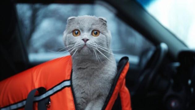 7szfzdoemfzsgwaxdjl73znm20kbox8f Економічні новини - головні новини України та світу