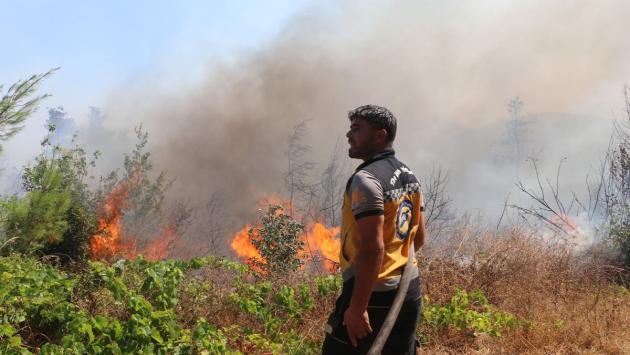 869986 src Економічні новини - головні новини України та світу