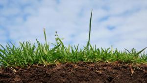 9hdnpbokamd7pye2ip7rbrpz8jywr023 Економічні новини - головні новини України та світу